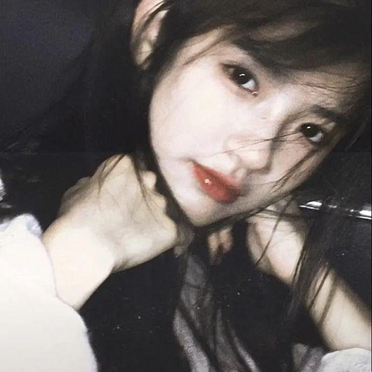 红狐